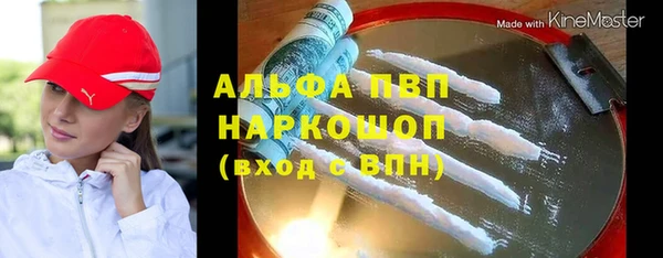 прущие грибы Каменск-Шахтинский