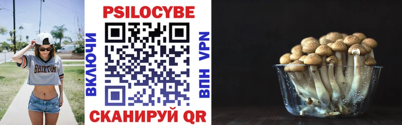 Галлюциногенные грибы Cubensis  Гаврилов Посад 